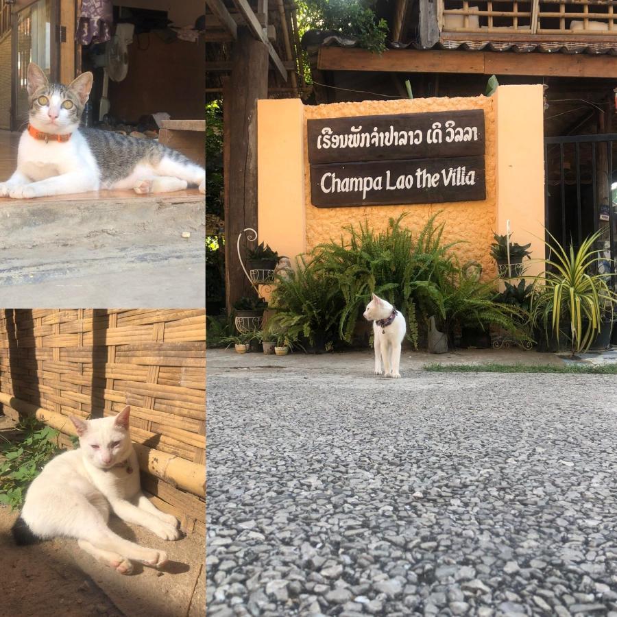 Champalao The Villa Vang Vieng Exterior photo